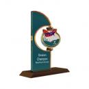 Valero Division Champions Award