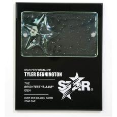 Employee Gifts - Cast Star Plaque