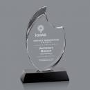 Waldorf Award