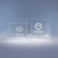 Employee Gifts - Bent Glass Award