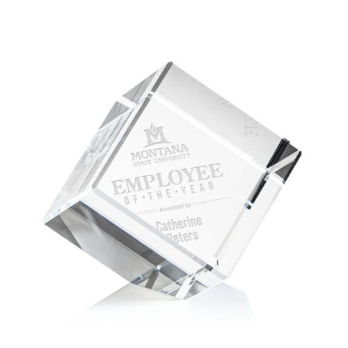 Corporate Awards - Burrill Corner Cube Crystal Award