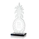 Tropicana Pineapple Abstract / Misc Crystal Award