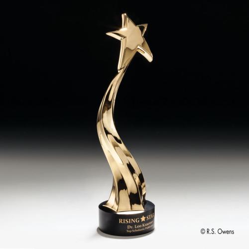 Corporate Awards - Zenith Shooting Star Metal Award