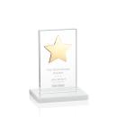 Dallas Star White/Gold Rectangle Crystal Award