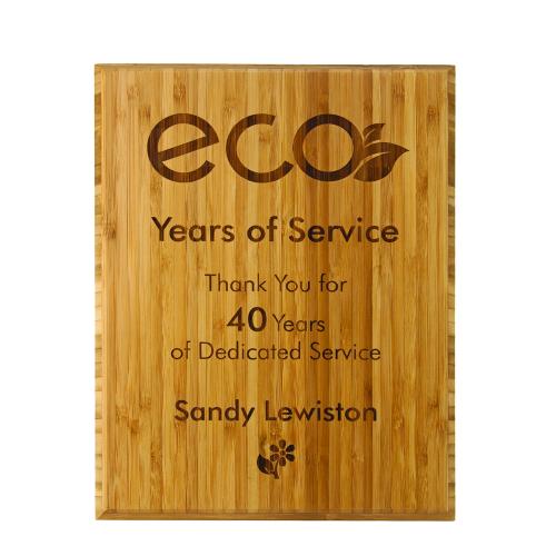 Corporate Awards - Eco Friendly Awards - Eco Conscious Lasered Panel Plaque