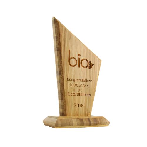 Corporate Awards - Recycled Eco-Friendly Awards - Eco conscious Bamboo Slant