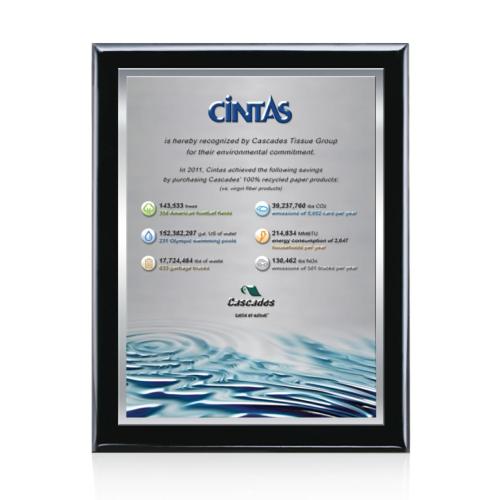 Corporate Awards - Award Plaques - Oakleigh Full Color 3D - Black/Silver