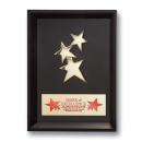 Framed Constellation Rectangle Metal Award