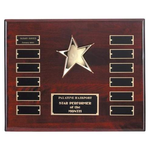 Corporate Awards - Award Plaques - Perpetual Plaques - Rising Star Plaque