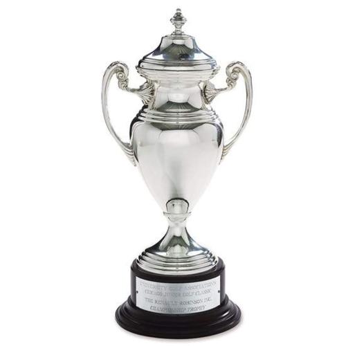 Corporate Awards - Metal Awards - Silver Cup Cups & Bowl Metal Award