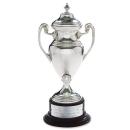 Silver Cup Cups & Bowl Metal Award