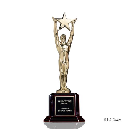 Corporate Awards - Star Achievement Star on Rosewood Metal Award
