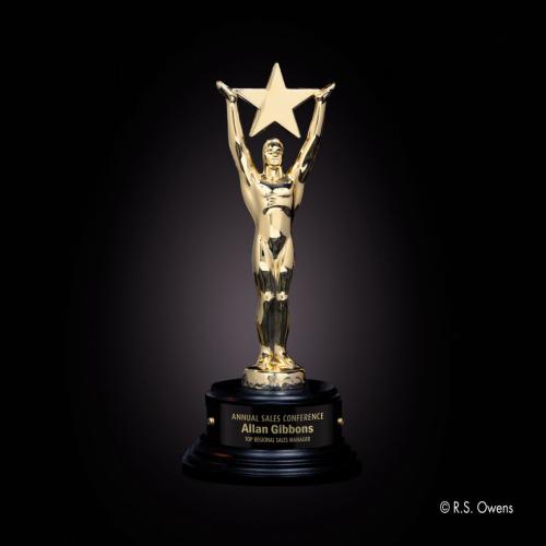 Corporate Awards - Gold Achievement Star Wood Award