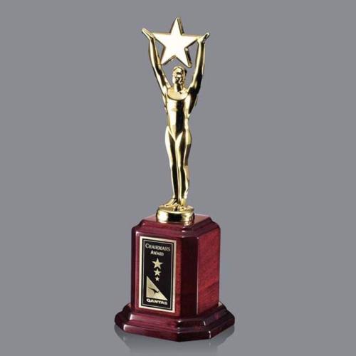 Corporate Awards - Ainsworth Star Metal Award