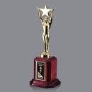 Ainsworth Star Metal Award