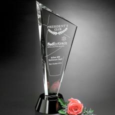 Invincible Award - Crystal Awards