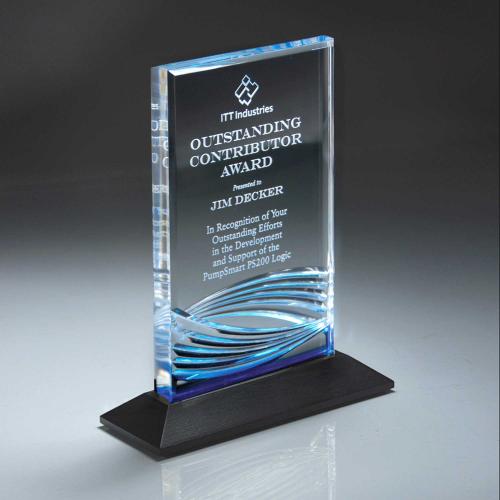 Corporate Awards - Acrylic Corporate Awards - Gentle Wave On Ebony Wood Base