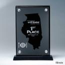 Frosted Acrylic Cutout Illinois Award