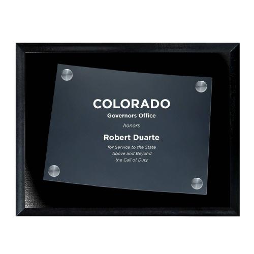 Corporate Awards - Acrylic Awards - Frosted Acrylic Cutout Colorado Plaque