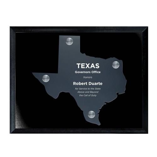 Corporate Awards - Acrylic Awards - Frosted Acrylic Cutout Texas Plaque