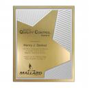 Grooved Brilliance Plaque