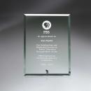 Jade Glass Pin Award