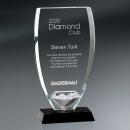 Reflective Glass Shield and Diamond Award