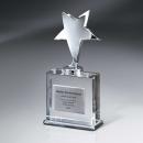 Silver Star Award with Silver Plate