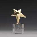 Rising Star Crystal Award