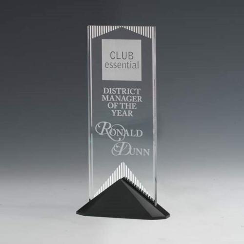 Corporate Awards - Resin Awards - Reflections Rectangle Acrylic Award