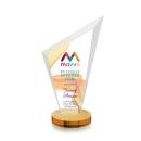 Condor Full Color Amber Peak Crystal Award