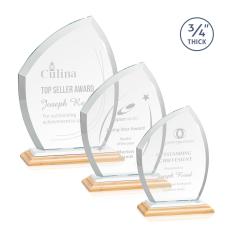 Daltry/White Abstract / Misc Bamboo Award - Corporate Awards