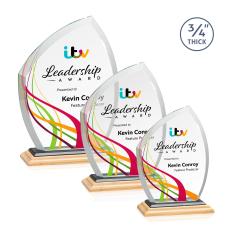 Daltry Full Color/Black Abstract / Misc Bamboo Award - Corporate Awards