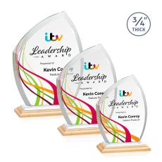Daltry Full Color/White Abstract / Misc Bamboo Award - Corporate Awards