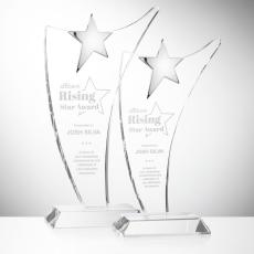 Atkinson Chrome Star Crystal Award - Service Awards