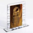 Triumph Fusion Rectangle Glass Award