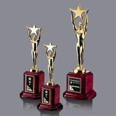Employee Gifts - Ainsworth Star Metal Award