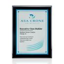 Oakleigh/AstroSub Plaque - Black/Silver