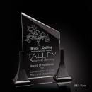 Explorer Peak Crystal Award