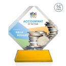 Toulon on Newhaven Full Color Amber Crystal Award