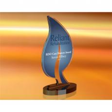 Employee Gifts - Reliant Rehabilitation Care Matters Award