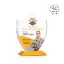 Scudo Shield Full Color Amber Abstract / Misc Crystal Award