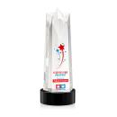 Ellesmere Full Color Black on Stanrich Star Crystal Award