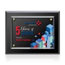 Lexicon Full Color Plaque - Gold
