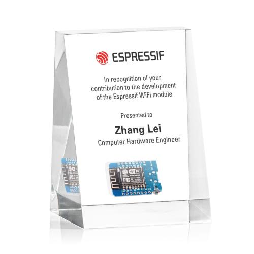 Custom Award Ideas - Custom Embedment Awards Gallery - Embedment Rectangle Acrylic Award