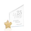 Cooperfire/Gold Star Crystal Award