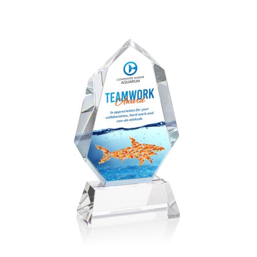 Corporate Awards - Crystal Awards - Norwood Full Color Clear on Newhaven Base Crystal Award