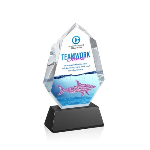 Corporate Awards - Crystal Awards - Norwood Full Color Black on Newhaven Base Crystal Award
