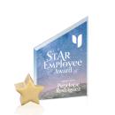 Cooper Full Color fire/Gold Star Crystal Award