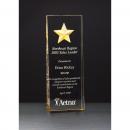 Acrylic Constellation Gold Star Award